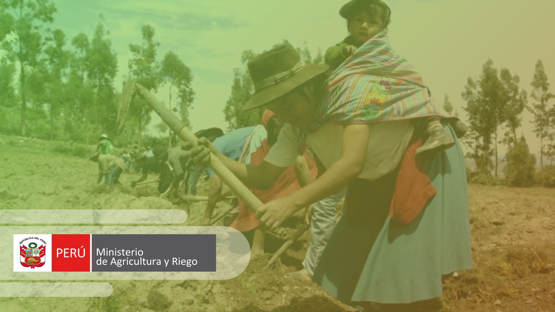 Qué es el MINAGRI Perú