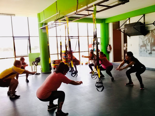 Vida Sana - Comunidad Fit