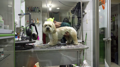 VIPets Clinica Veterinaria