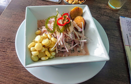 koyote y sus conchas negras