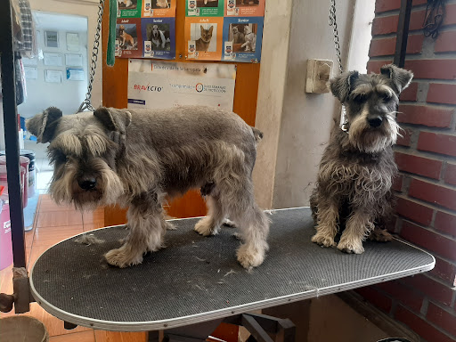 Veterinaria Bardales