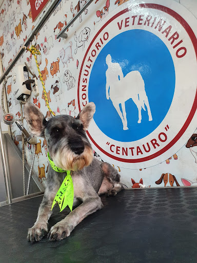 Veterinaria Centauro