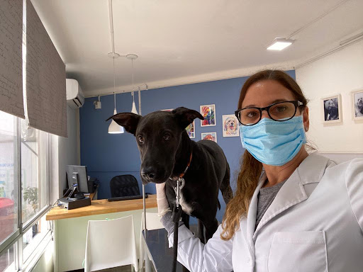 Derma Vet - San Borja - Dermatologia Veterinaria - Mv. Esp. Dra. Yanaisa Millares