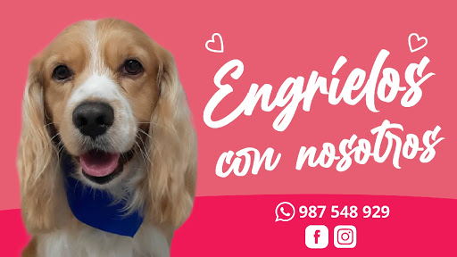 4 Patas Grooming&Pet's