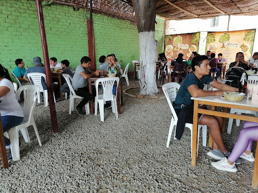 El arbolito del sabor