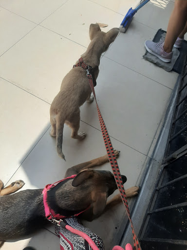 Veterinaria Villa Ramirez