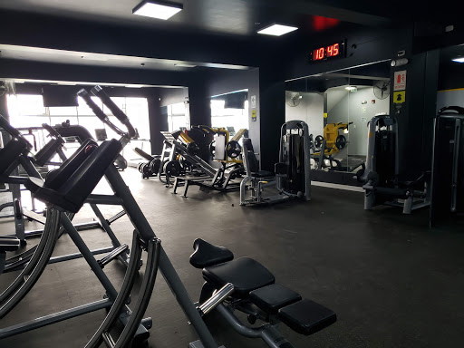 Platinum Life Sede Rivaguero