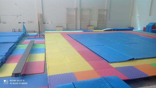 CLUB DE GIMNASIA ARTÍSTICA OLIMPO