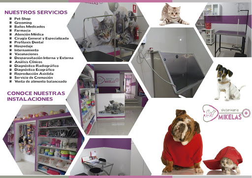 Veterinaria Mikelas
