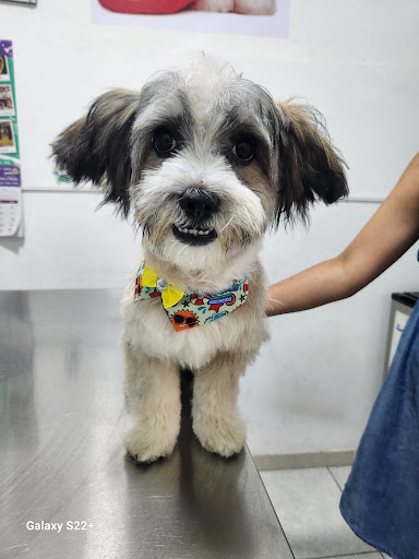 Veterinaria Kuyay Pet's