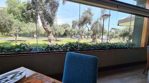 El Olivar Restaurant Bar (Sonesta Hotel El Olivar)