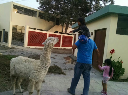 Facultad de Medicina Veterinaria UNMSM