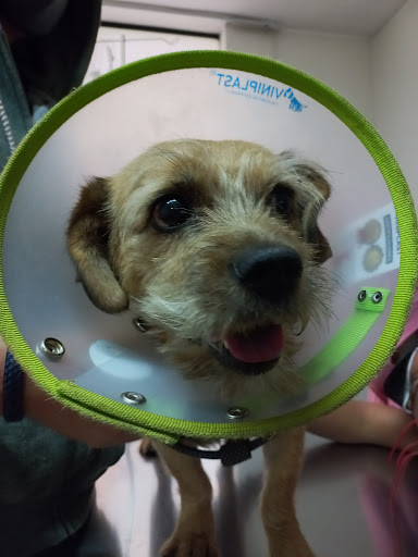 Veterinarias Can Peru