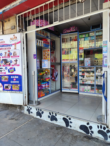 VETERINARIA MASCOTILANDIA