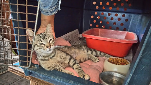 Veterinary clinic LimaVet