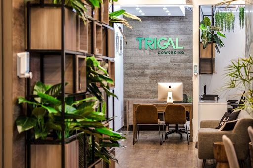 Trigal Coworking