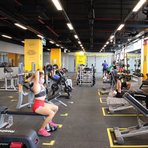 Gimnasio Smart Fit - El Polo