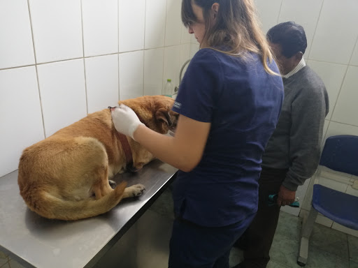 Veterinaria San Marcos