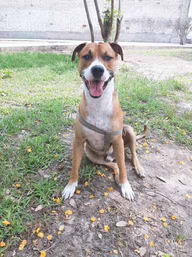 VETERINARIA LAS MORAS