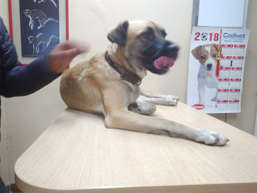 Veterinaria Vet Life Centro de Especialidades Quirurgicas