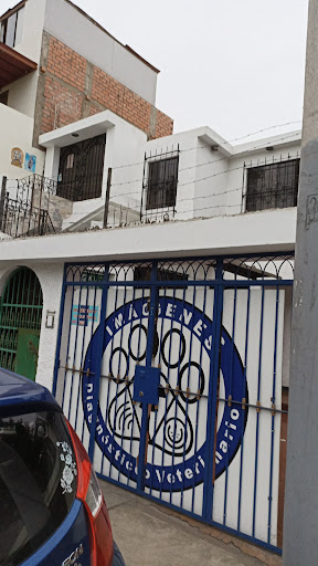 Imagenes Vet -San Miguel