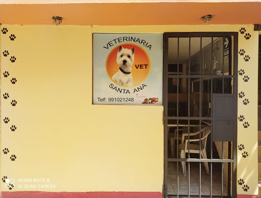 Veterinaria Santa Ana 991021248