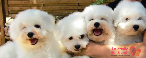 La Casita del Bichón