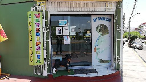 Veterinaria D'Pelos