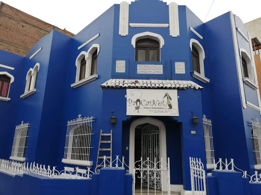 Veterinaria Pancanvet