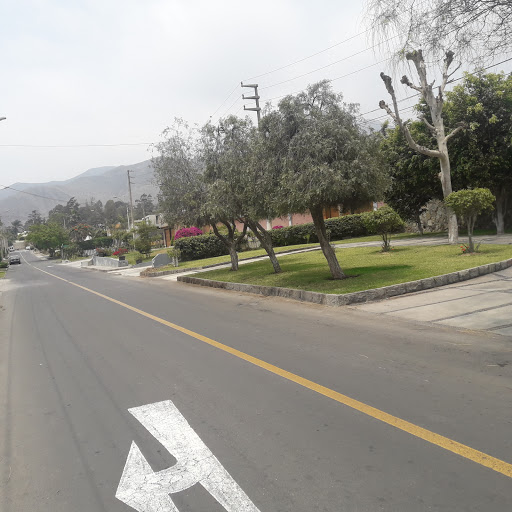 Todo Mascotas Veterinaria