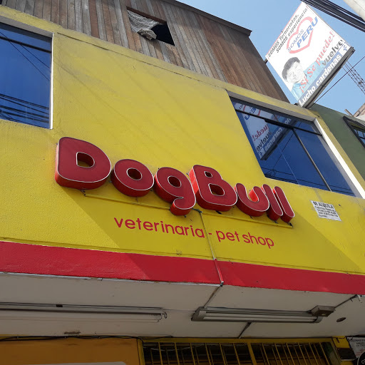 Veterinaria Dog Bull
