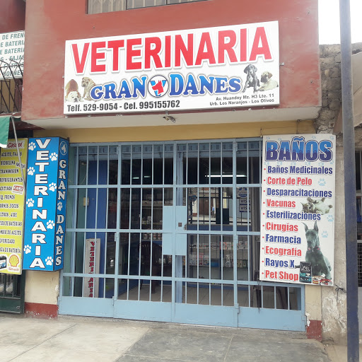 Veterinaria Gran Danes